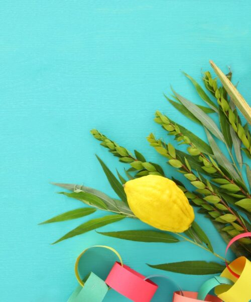 סט ארבעת המינים מהודר - כולל לולב אתרוג והדסים