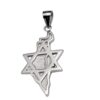 תליון ארץ ישראל בשילוב מגן דוד