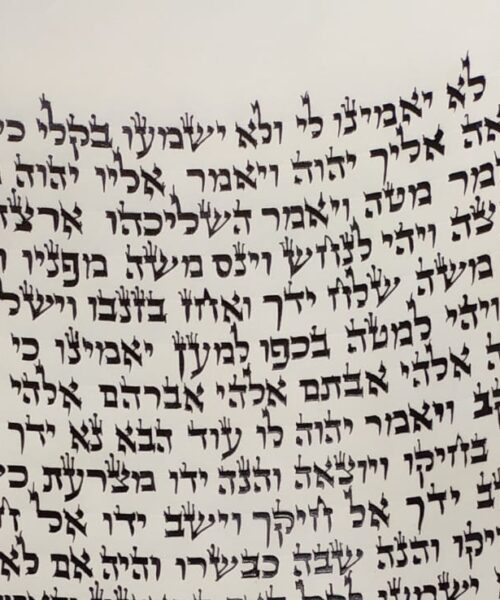 ספר תורה אשכנזי גודל 48 סמ