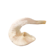 שופר מהודר גדול ומיוחד